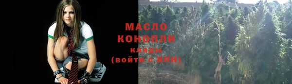 сатива Горно-Алтайск