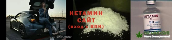 сатива Горно-Алтайск